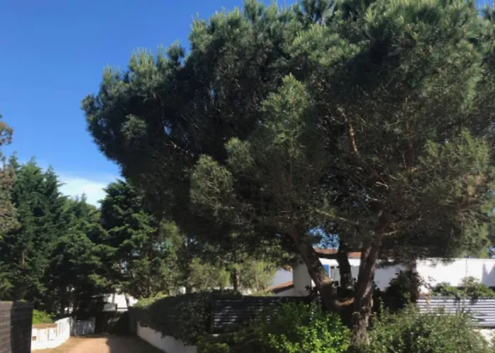 Pretty House In A Quiet Area 100m From The * La Tranche-sur-Mer